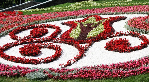 Fragments of the compositions. Flower Show in Kiev, dedicated to the European football championship — Stock Photo, Image