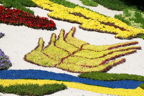 Kompozisyonlar parçaları. Kiev, Avrupa Futbol Şampiyonası için adanmış çiçek göster — Stok fotoğraf