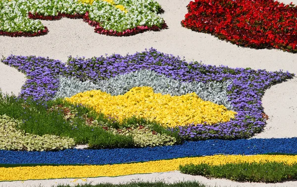 Fragmentos de las composiciones. Flower Show en Kiev, dedicado al campeonato europeo de fútbol —  Fotos de Stock