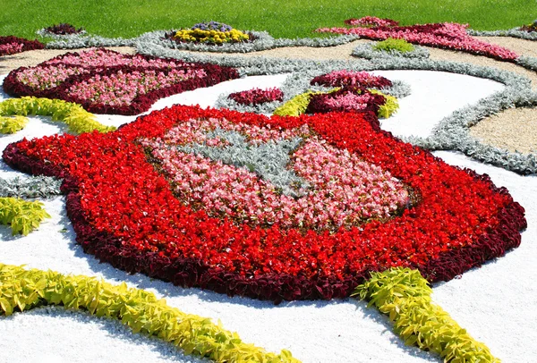 Fragment av kompositioner. flower show i kiev, tillägnad EM i fotboll — Stockfoto
