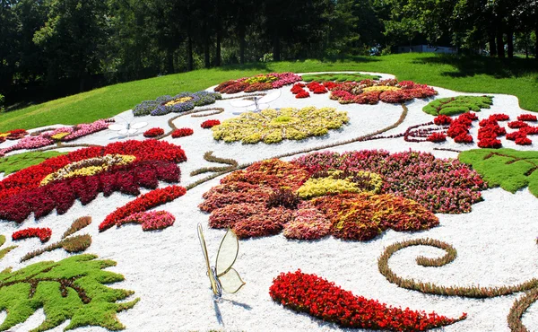 Fragmentos de las composiciones. Flower Show en Kiev, dedicado al campeonato europeo de fútbol — Foto de Stock