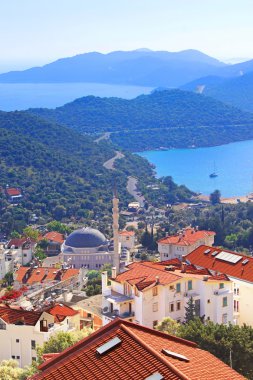 ? İtalyan kaş (Kash) Türkiye'de