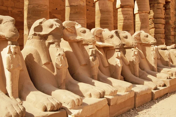 Древние статуи в храме Карнак, Луксор — стоковое фото