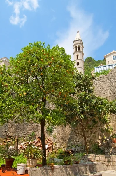 Yard y la iglesia Nuestra Señora del Rosario en Perast, Montenegr —  Fotos de Stock