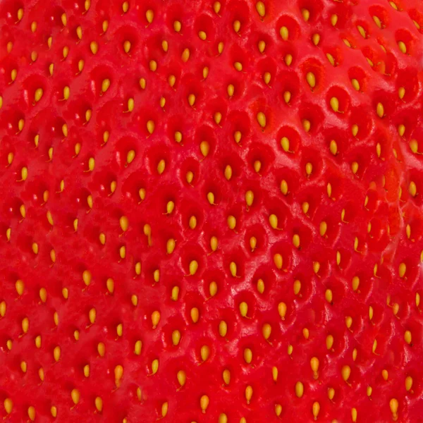Fundo das frutas — Fotografia de Stock