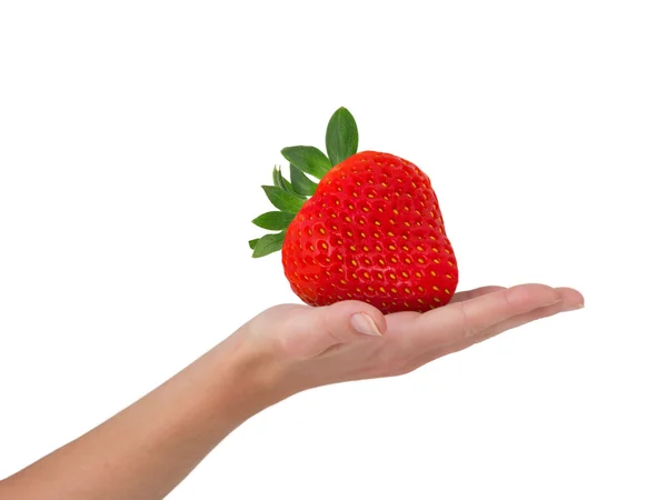 Mâna cu fructe — Fotografie, imagine de stoc