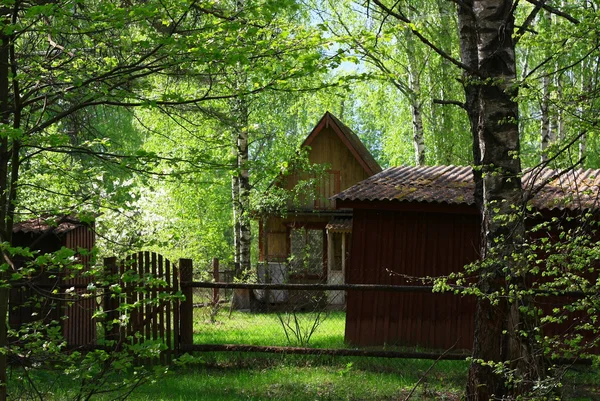 stock image Forest house with a gate