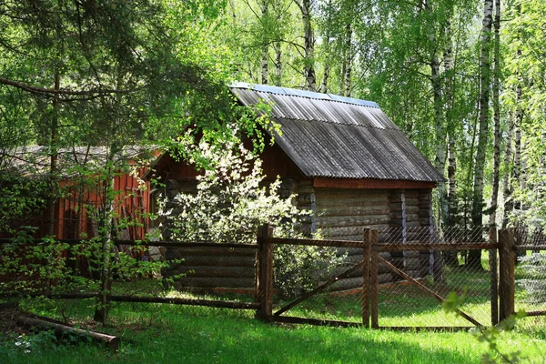 stock image Wooden cabin in the woods