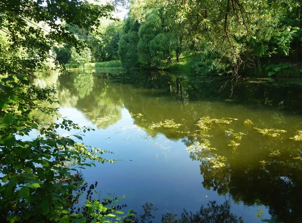 stock image A quiet pond