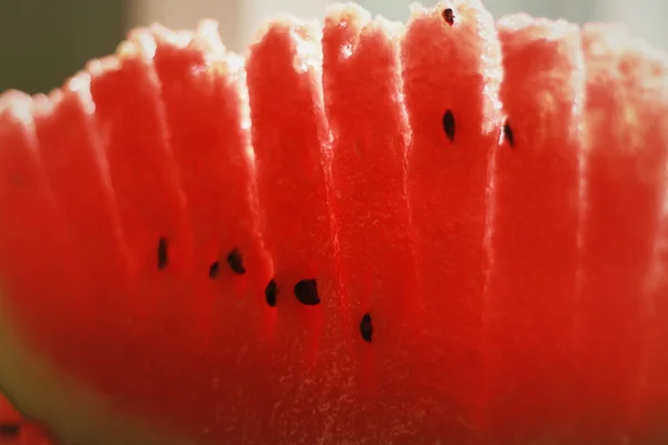 stock image Watermelon