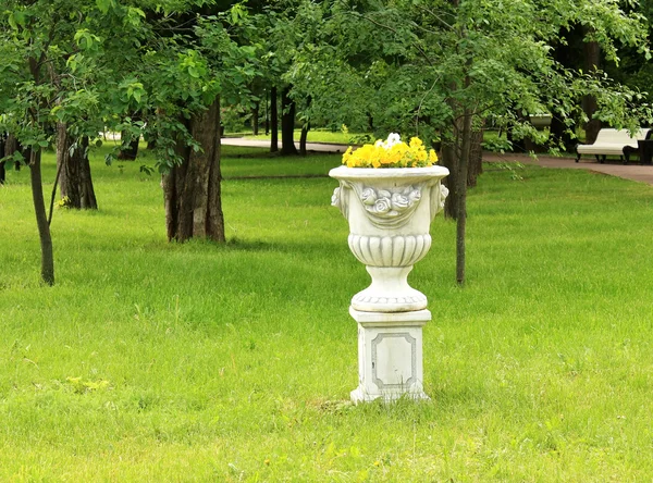 Vase with flowers — Stock Photo, Image