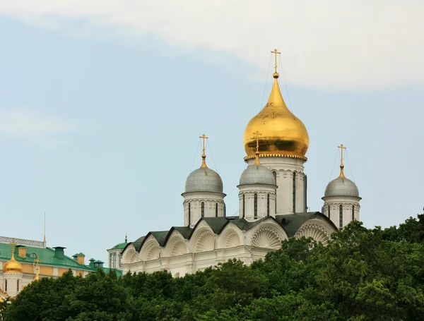 Domes of Moscow Kremlin — Stock Photo, Image