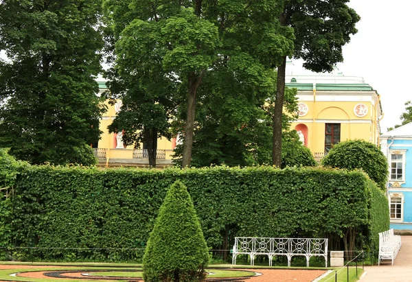 Växter och träd i freylin trädgård i parken catherine av tsar — Stockfoto