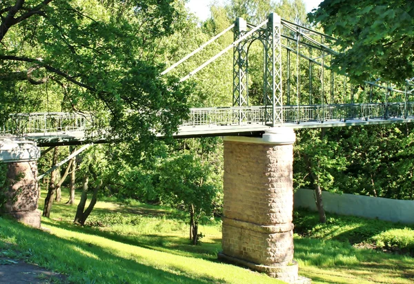 Uçurumun üzerinde köprü — Stok fotoğraf