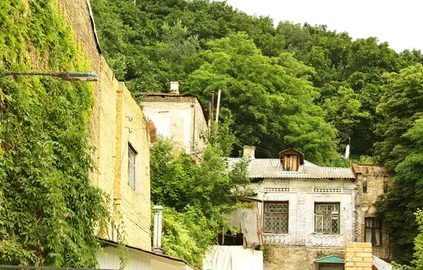 Старі будинки серед зелених дерев — стокове фото
