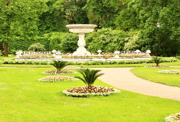 Flower beds of the old park — Stock Photo, Image