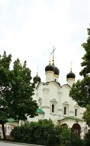 Cúpulas de la Iglesia Ortodoxa —  Fotos de Stock