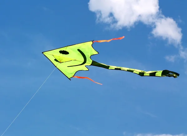 Vliegende vlieger in de blauwe lucht — Stockfoto