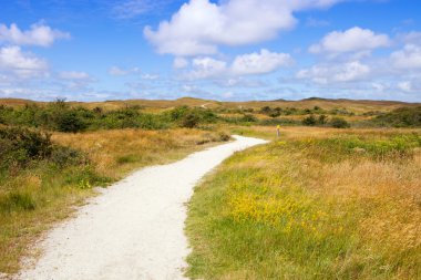 Eierland at island Texel in Netherlands clipart