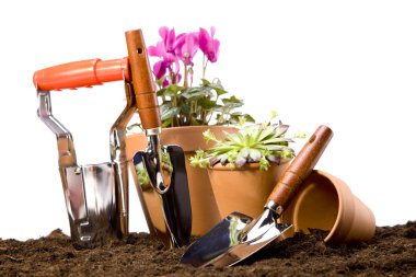 Flowers and garden tools clipart