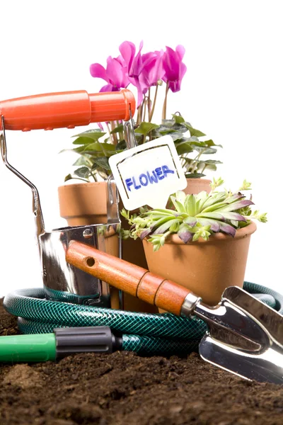 Fleurs et outils de jardin — Photo