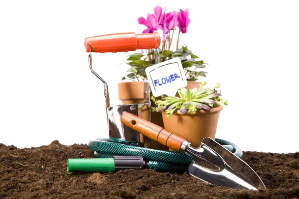 Flores y herramientas de jardín — Foto de Stock