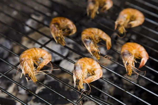 stock image Grilling time!