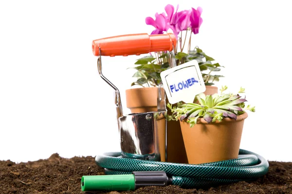 Flowers and garden tools — Stock Photo, Image