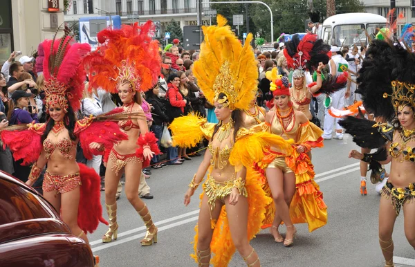 Desfile de Carnaval Imagem De Stock