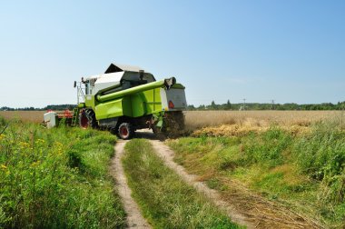 Harvest clipart