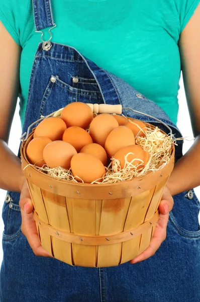 Farma dívka s košíkem vajec — Stock fotografie