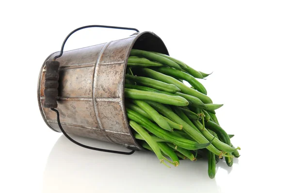 Зелений Beana у сільському стилі відро — стокове фото