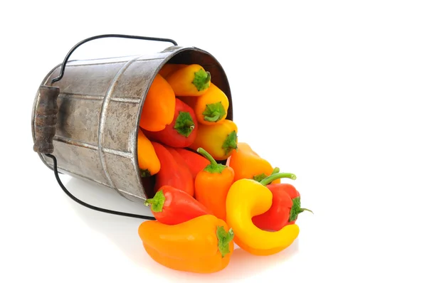 Niet-scherpsmakende pepers morsen van emmer — Stockfoto