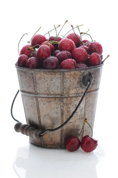 Świeżych wiśni wybrał w metalowe wiadro — Zdjęcie stockowe