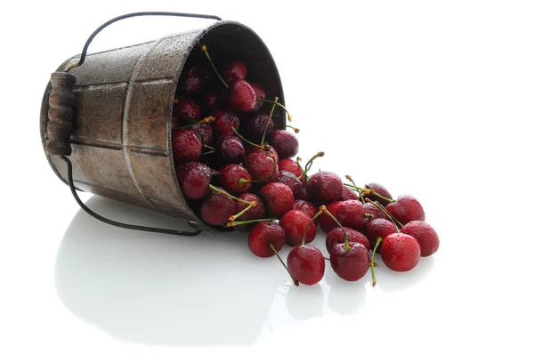 Cherries Spilling Out of Bucket — Stock Photo, Image