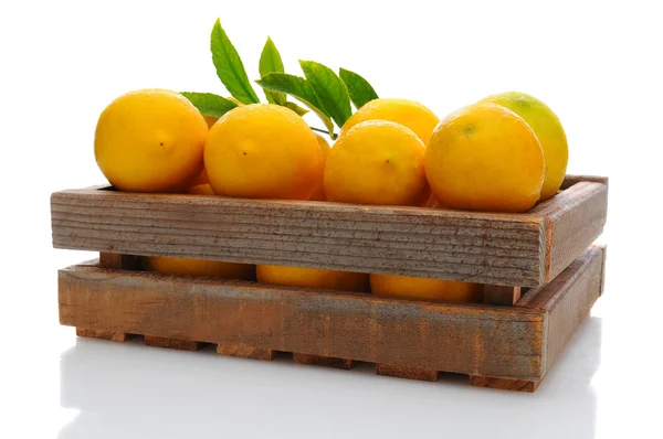 在条板箱的新鲜挑选的柠檬 — 图库照片