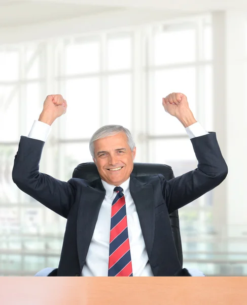 Businessman with Fists in the Air — Stock Photo, Image