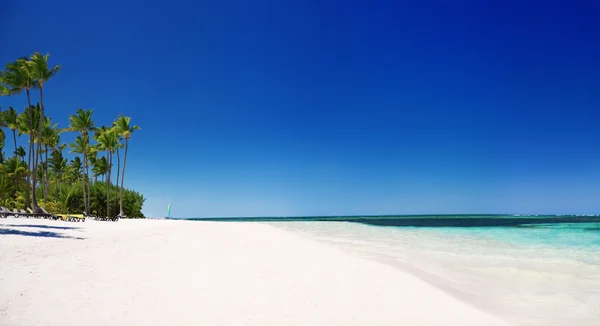 Egzotycznej plaży — Zdjęcie stockowe