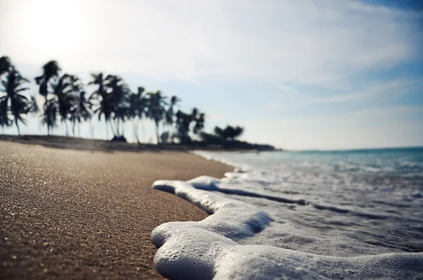 Onda ravvicinata su una spiaggia tropicale dof — Foto Stock