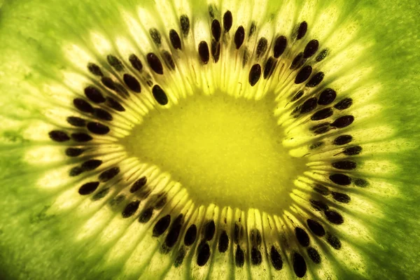 Kiwi verde — Foto de Stock