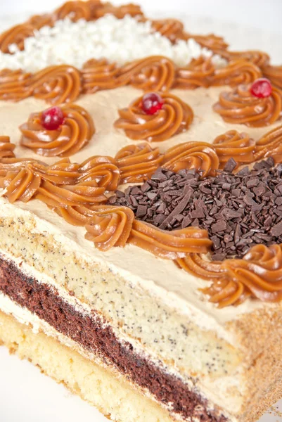 Смачні горіхами торт — стокове фото