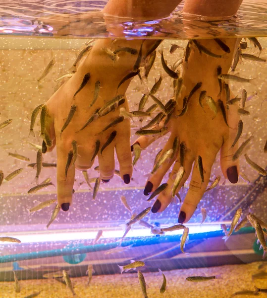 Terapia del pesce — Foto Stock