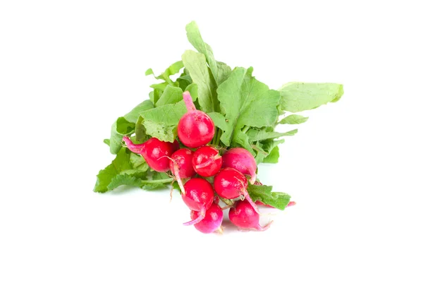 Fresh radishes — Stock Photo, Image