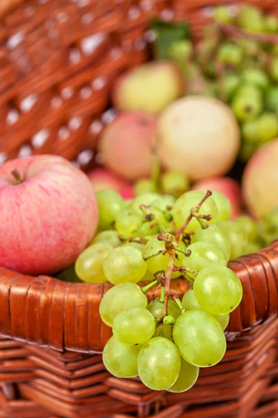 Äpfel und Trauben — Stockfoto