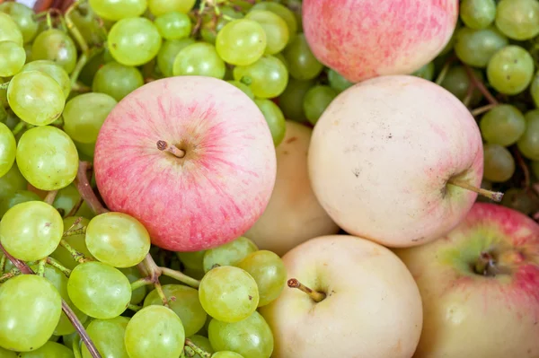 Äpplen och druvor — Stockfoto