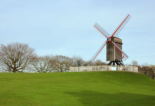 Větrný mlýn v parku v Bruggy, Belgie Royalty Free Stock Fotografie