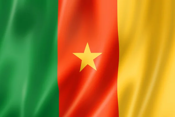 Cameroon flag — Stock Photo, Image