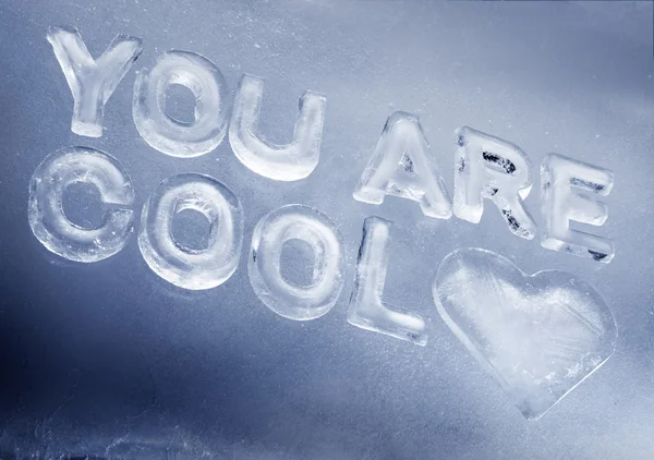 You Are Cool — Stock Photo, Image