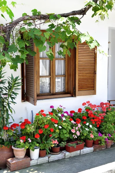 Okna białego domu z roślin — Zdjęcie stockowe