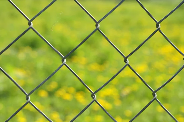 stock image Metal grid on green background